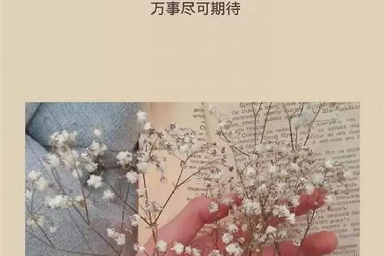 梦见孩子掉水里又被自己救起来了是什么意思