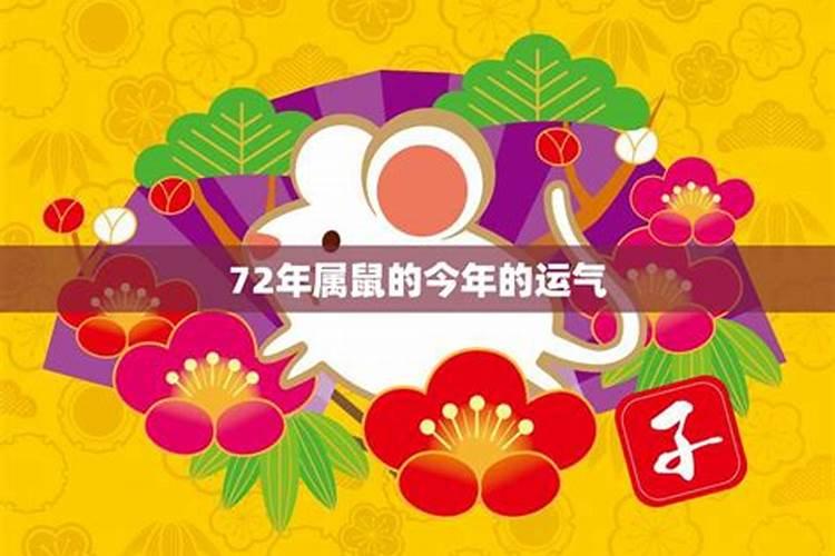 属马鼠年运势2023年运势