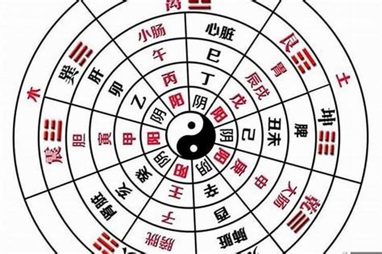 八字阳阴天干