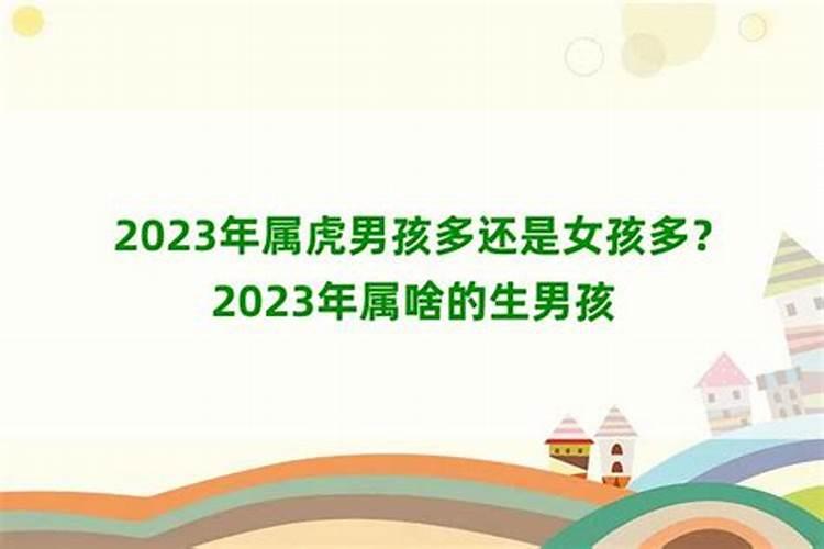 2023年虎年生男孩多还是女孩多？2022年男孩几月生好