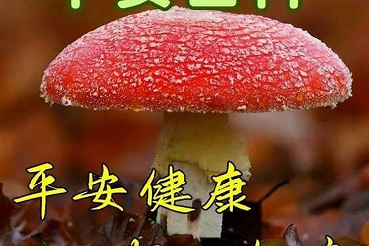 小孩在清明节出生好吗