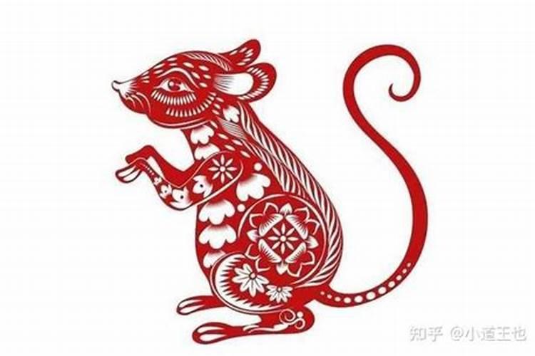 2023年下半年生肖鼠运势，属鼠的2021年是不是犯太岁