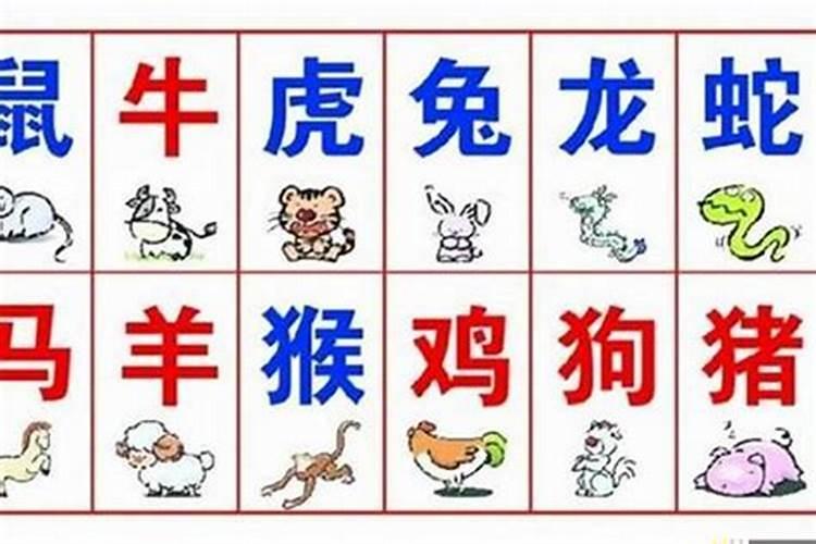 八字排盘要怎么看有财