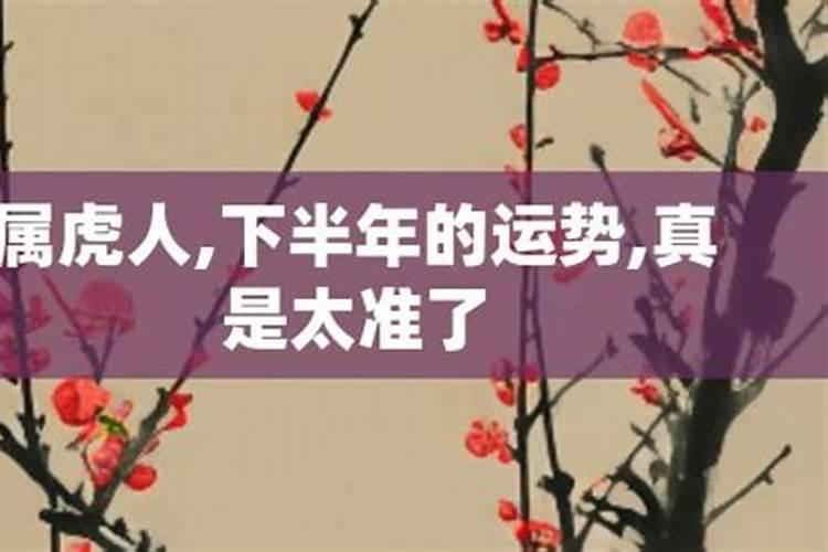 属虎人下半年的运程如何