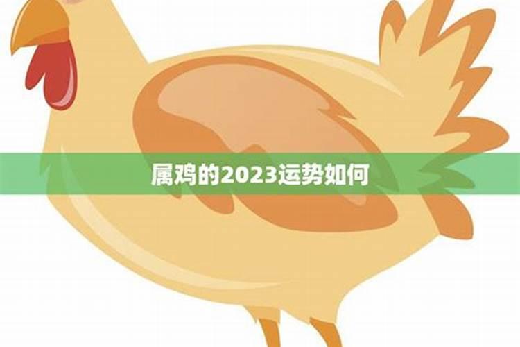 属鸡的2023年的运势