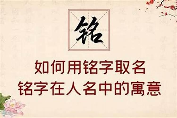 五行属木什么字最好