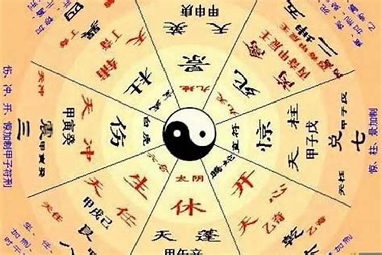 2月属兔的今年运势如何