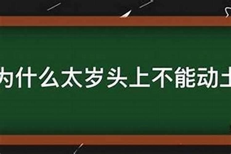 属虎狗2023年运势