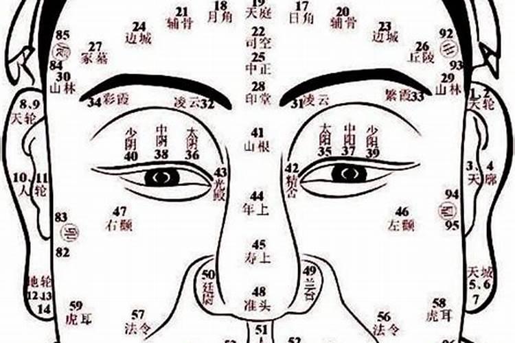 十二生肖的幸运数字和不幸运数字