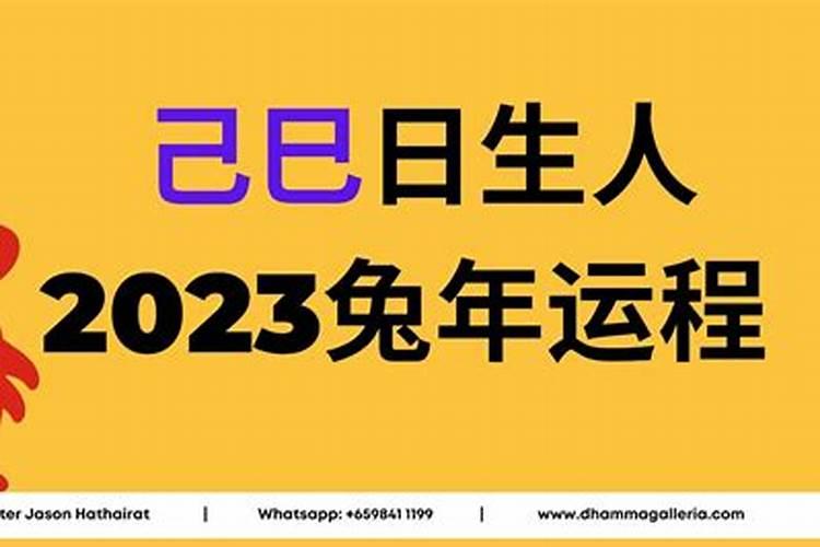 2023的十二生肖运势如何