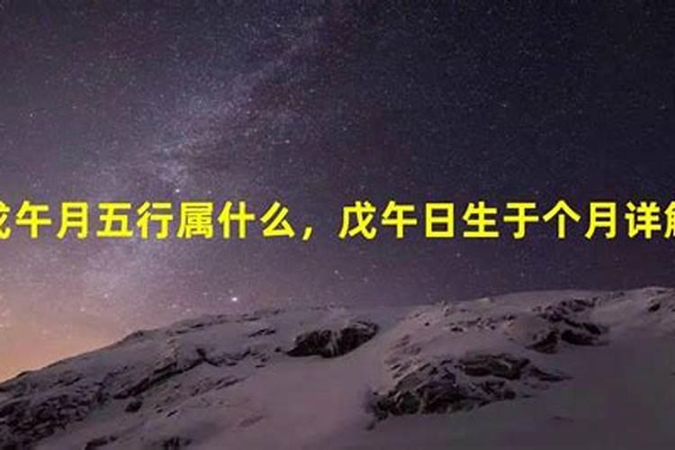 戊午五行属什么