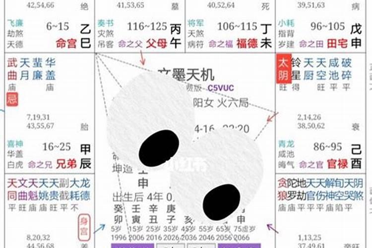 太阳运势是什么意思