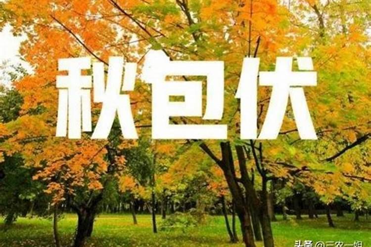 清明节扫墓纪念革命先烈手报漂亮