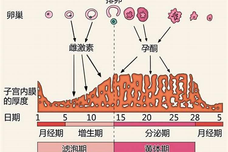 梦到前男友对我笑得很开心是为什么