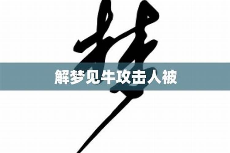 梦见牛攻击人预示着什么意思