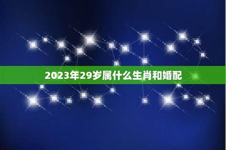 29岁生肖属什么的