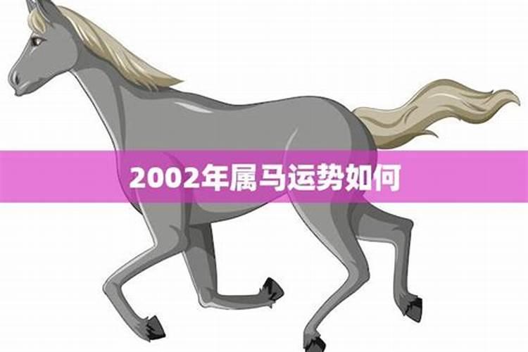 2023属马的运势和财运2002