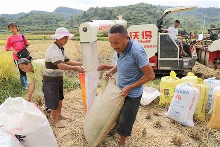 梦见老家的旧房子漏水什么意思