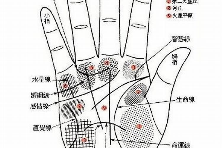 梦到别人给我钱了,我也收了