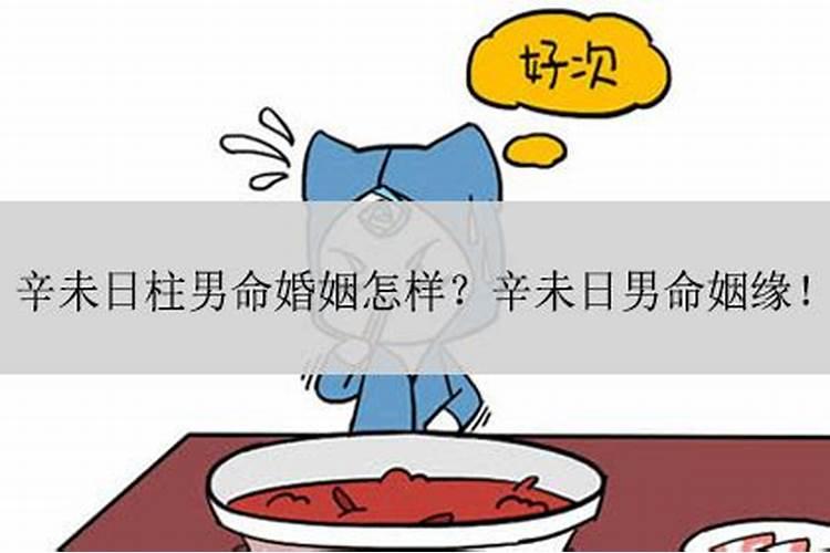 风水上厨房正北好