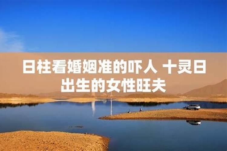 梦见大师帮我干活