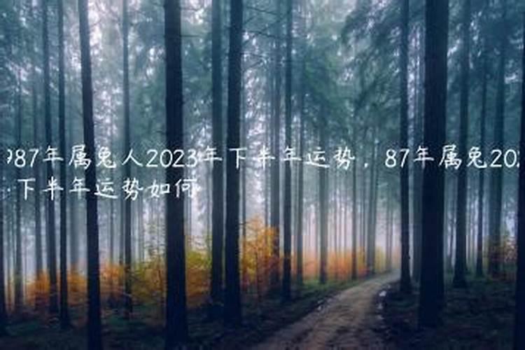 1987年属兔人2021下半年运势及运程