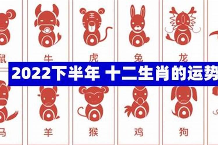 属鸡的2021年8月份运势第一星座