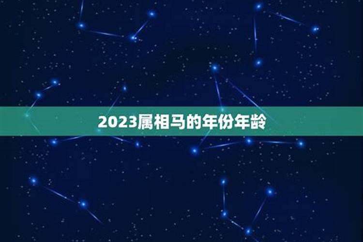 2023年属马的多大