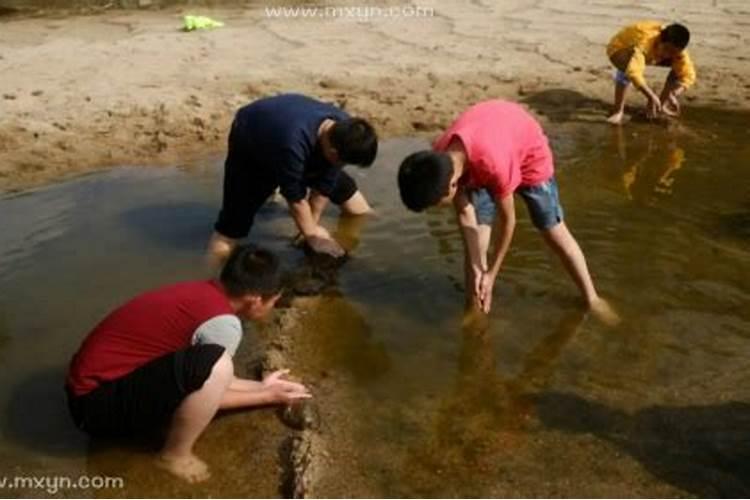 梦见在水里抓到好几条活鱼