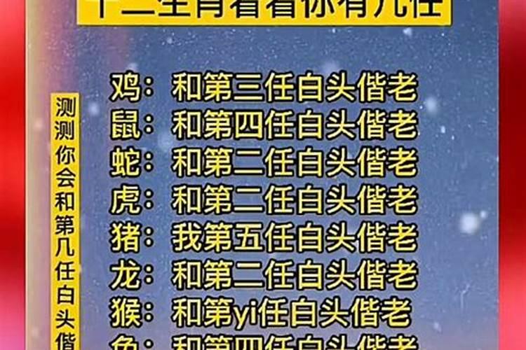 八零年属什么