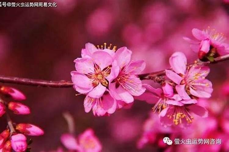 生辰八字能乱给吗