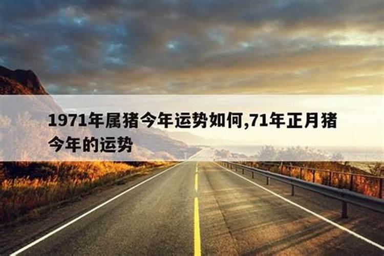 犯太岁的属相2024年出生