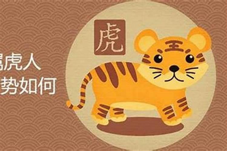 猪鼠牛虎兔哪个属相最好命