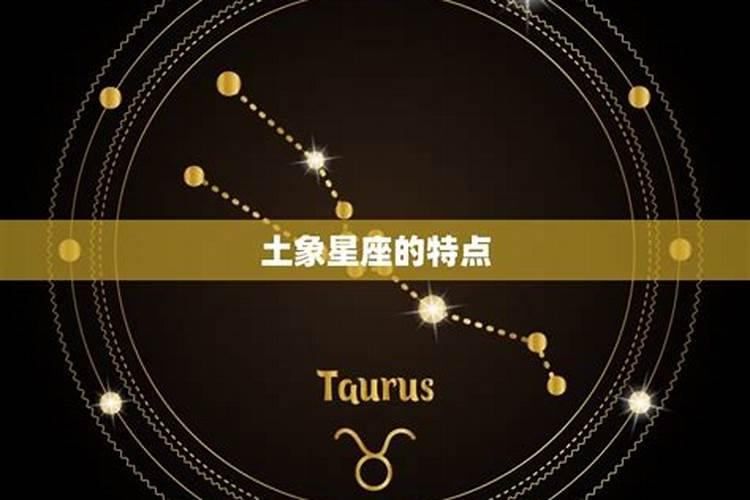 土象星座是什么意思