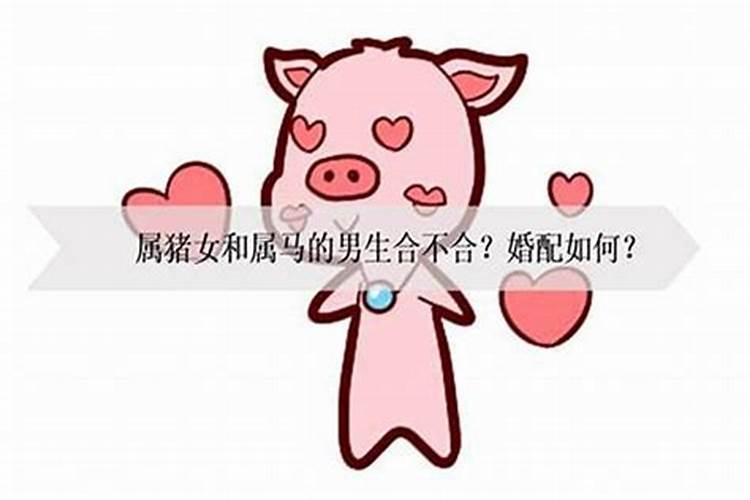 属猪相配婚姻会怎么样