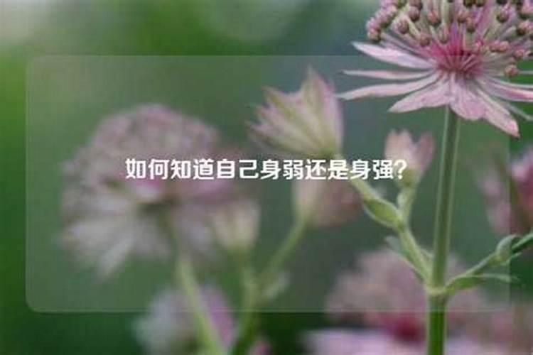 双子女10月桃花运势