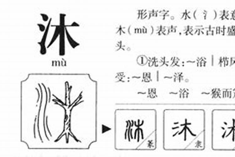 沐五行属性是什么