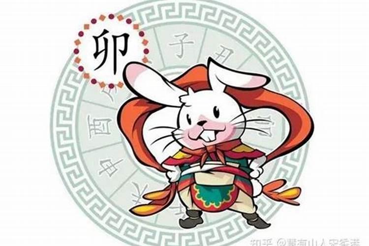 今年属兔犯什么太岁呢