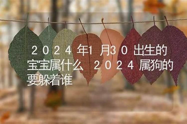 2020年1月30日出生属什么生肖