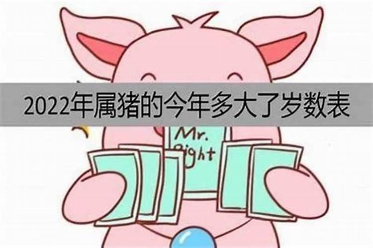 生肖猪今年多大年龄生肖猪今年多大年龄2023