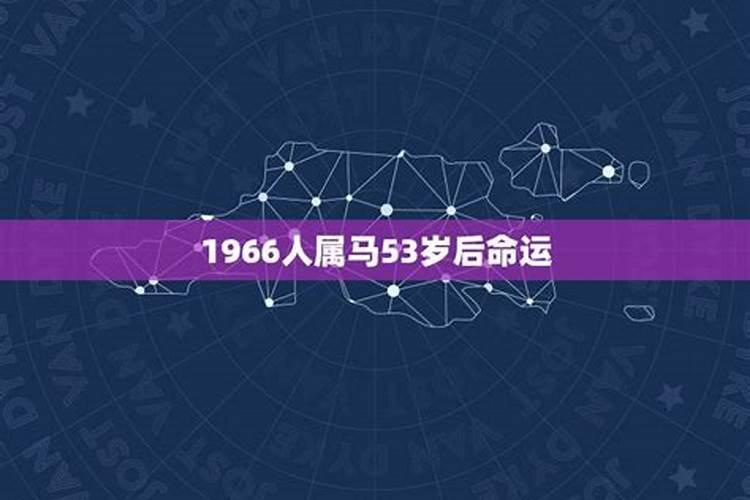 1966年属马的男人命运