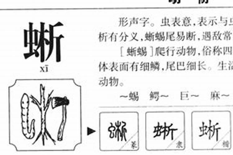 晰字五行属什么