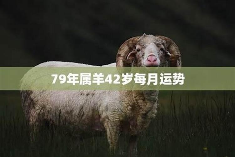 1979属羊6月份的运程怎样