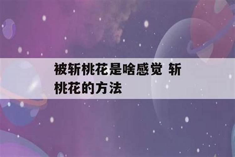 被斩桃花的人心情不好