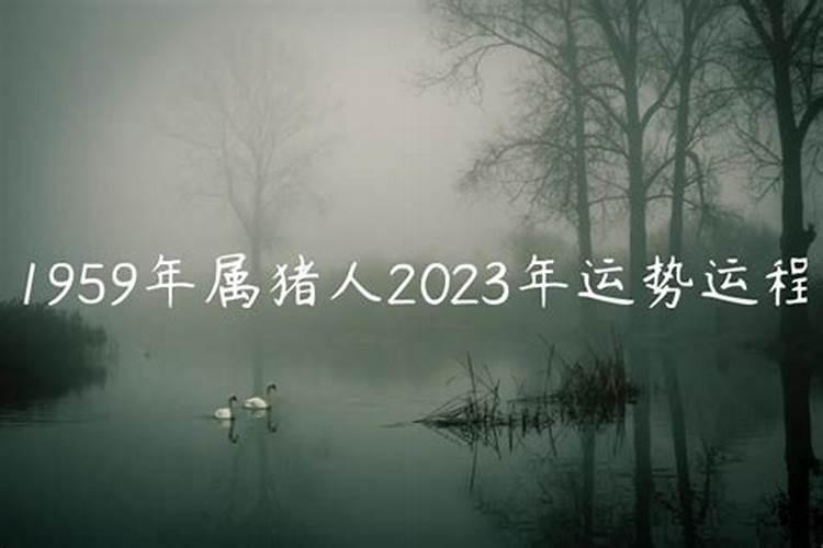 1951年兔人2023年运程